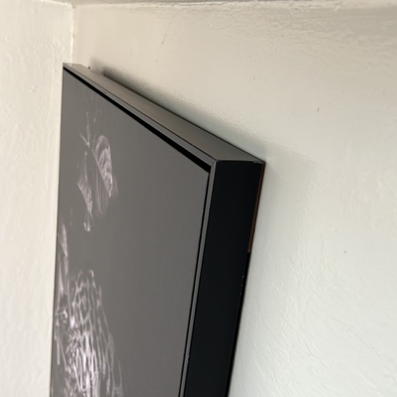 Cougar Frame - Picture 4 of 4